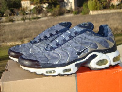 tn requins
